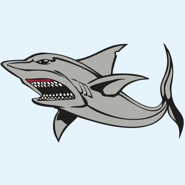BAW SHARK 03 RC Thumbnail