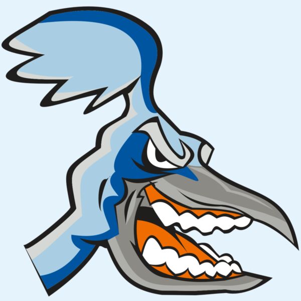 ROADRUNNER HD0504 RQC Thumbnail
