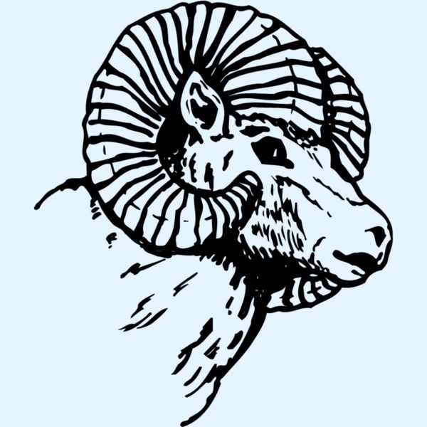 RAM005 Thumbnail