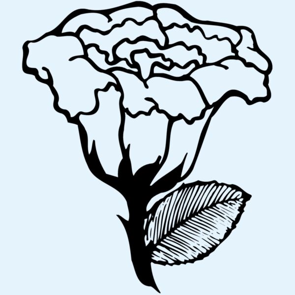FLOWER10 Thumbnail