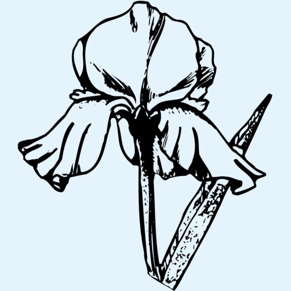 FLOWER11 Thumbnail