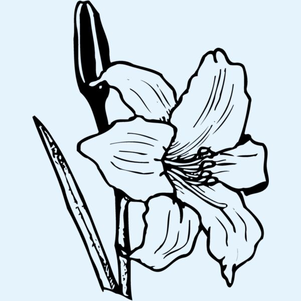 FLOWER12 Thumbnail