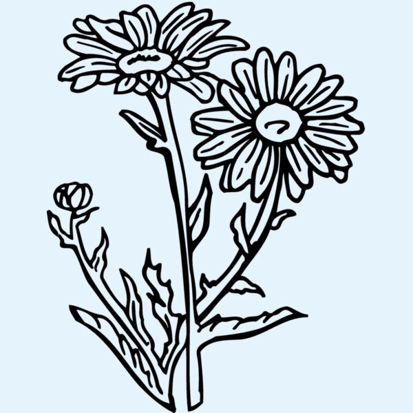 FLOWER17 Thumbnail