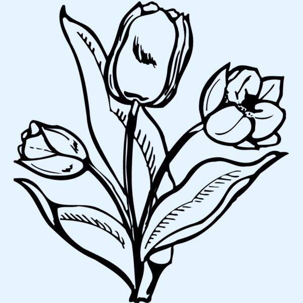 FLOWER24 Thumbnail