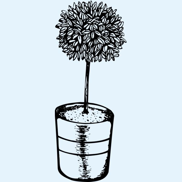 PLANT01 Thumbnail