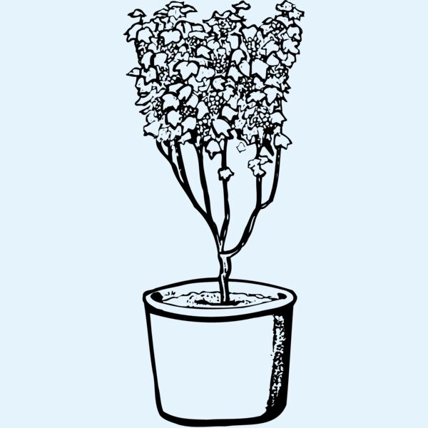 PLANT04 Thumbnail