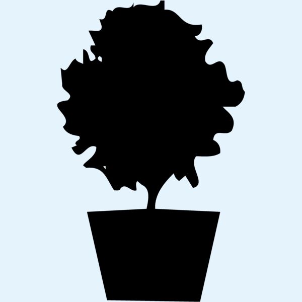 PLANT06 Thumbnail