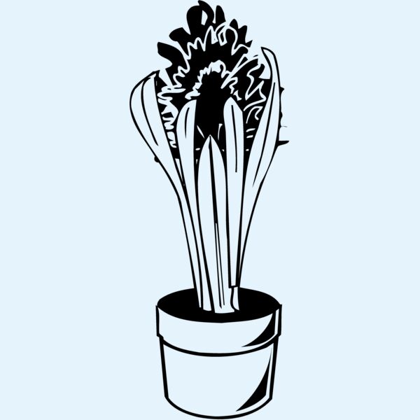 PLANT07 Thumbnail