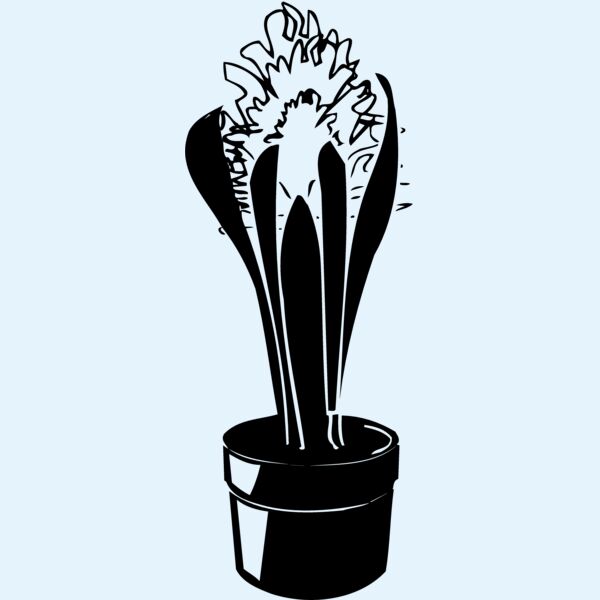 PLANT08 Thumbnail