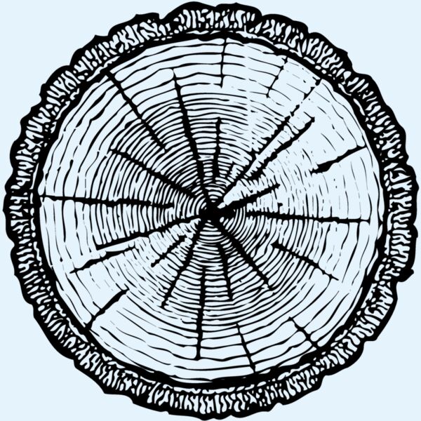 TIMBER04 Thumbnail