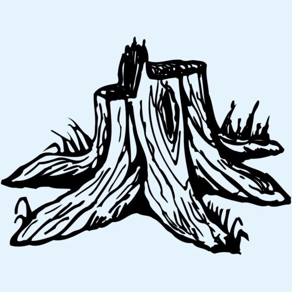 TIMBER09 Thumbnail